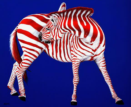 Zebra in red white and blue