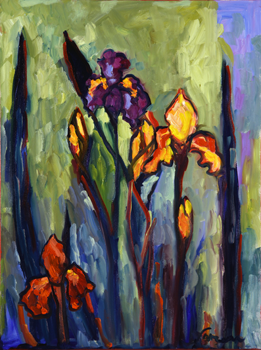 Multicolored Irises