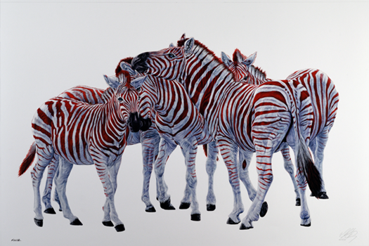 5 Zebras with red Stripes